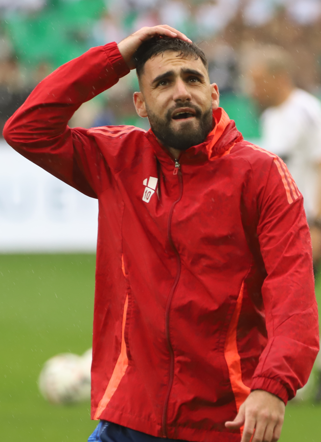 Romain Del Castillo