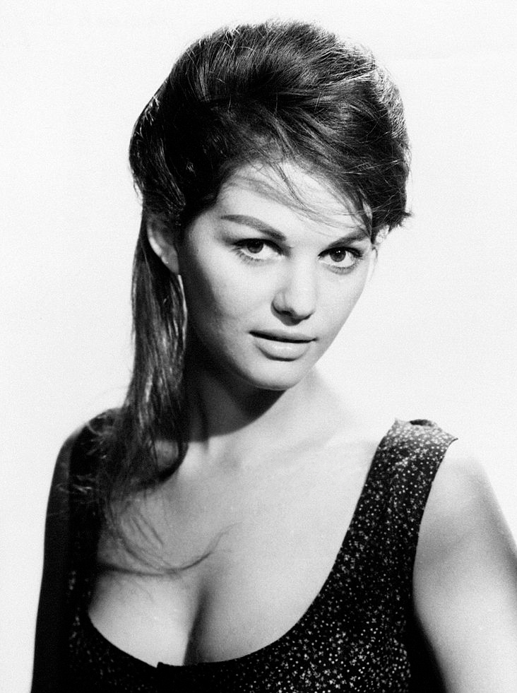 Rose Lamy