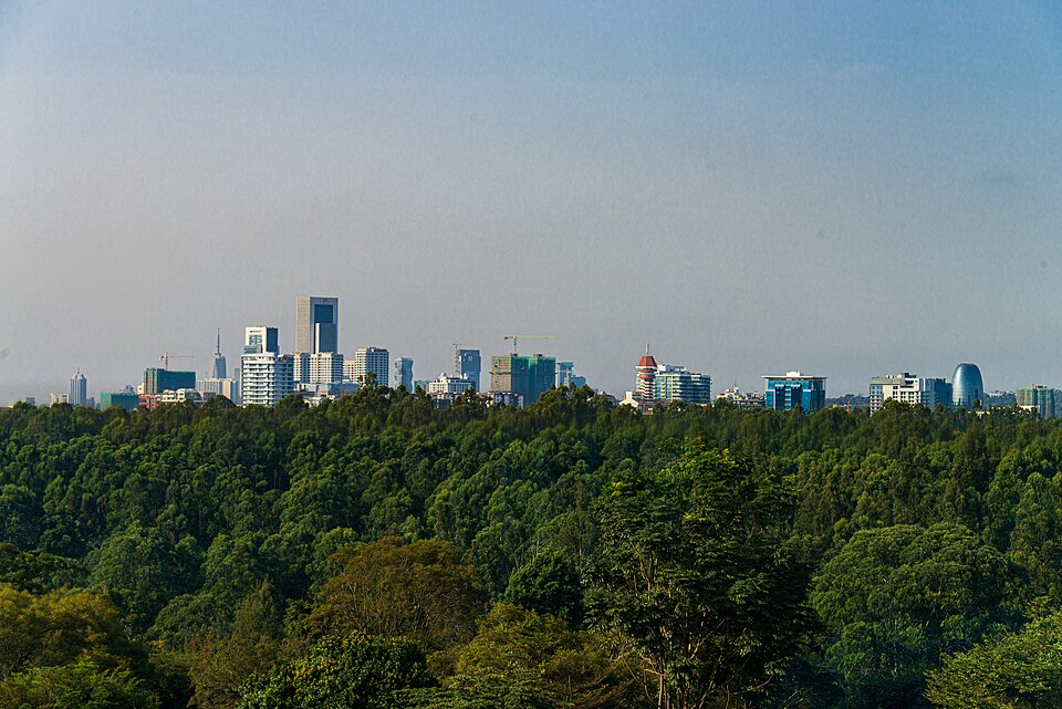 Rosslyn Ngugi