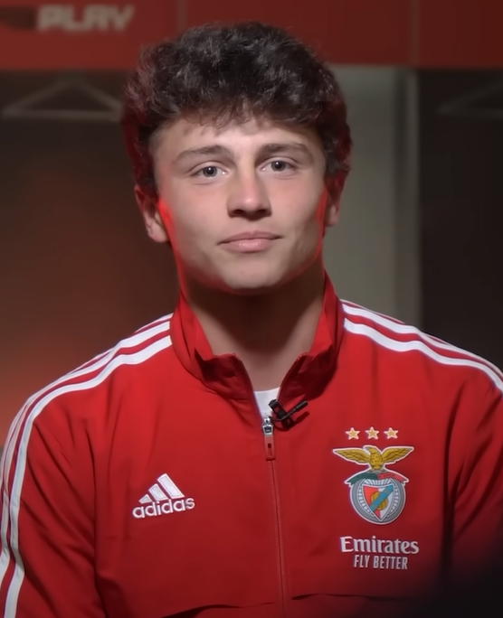 Rui Sanches