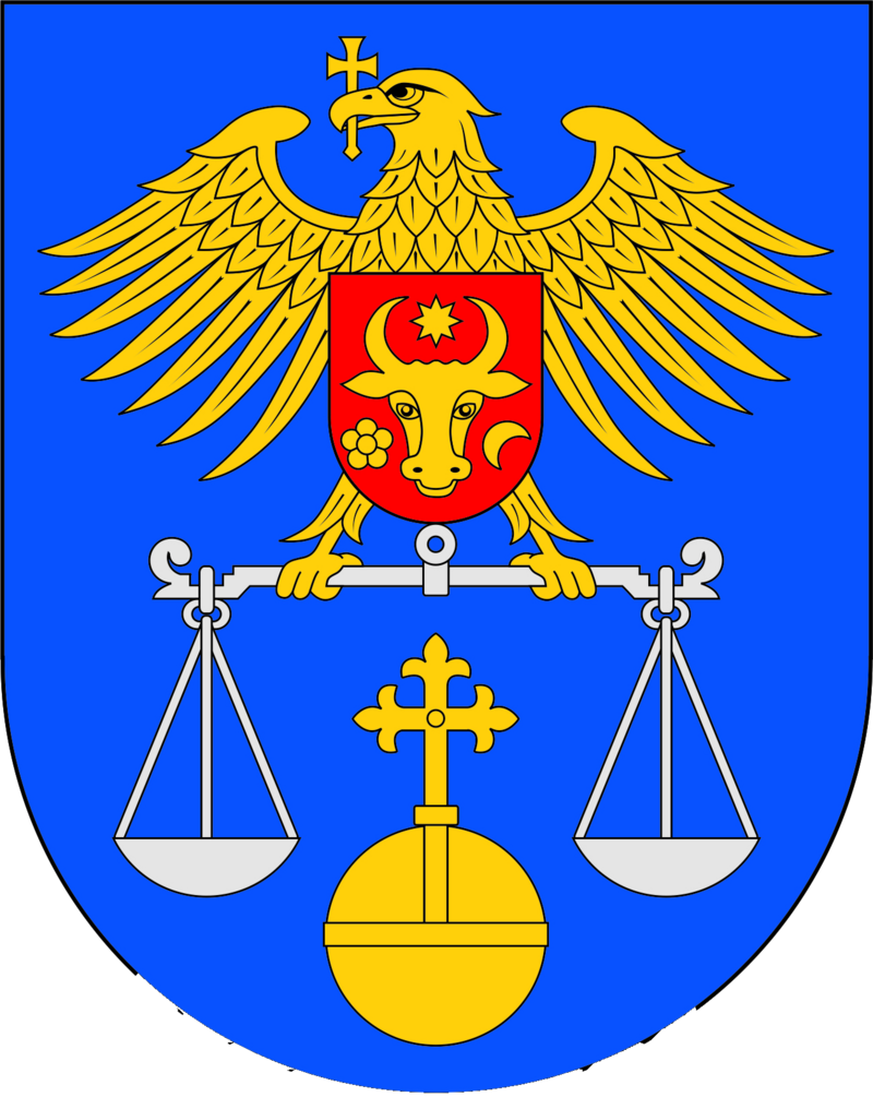 Ruslan Lungu
