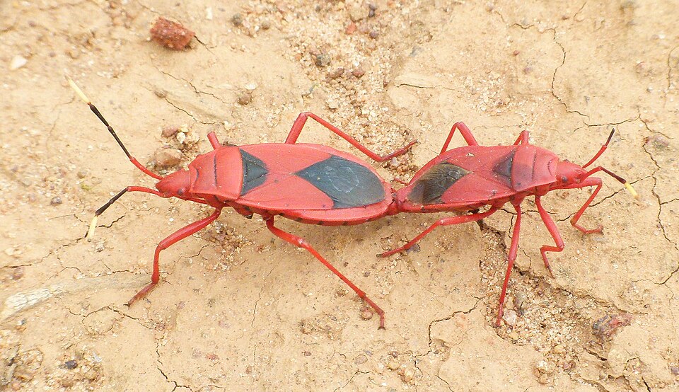 S. Sudakaran