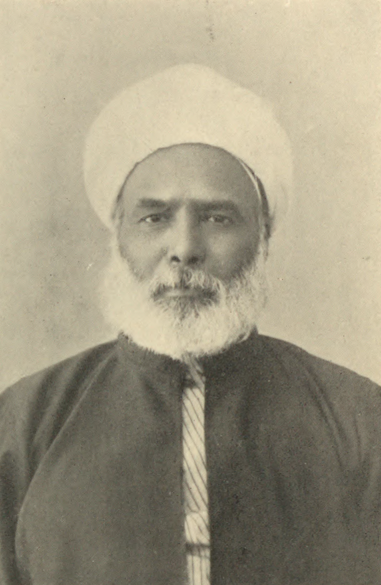 Saad Abdou Mustafa Ziad