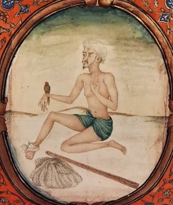 Saad Farid