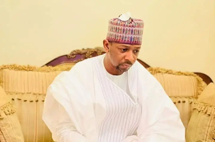 Sabi Hassan