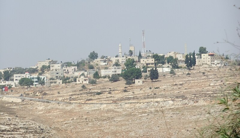 Saed Saleh