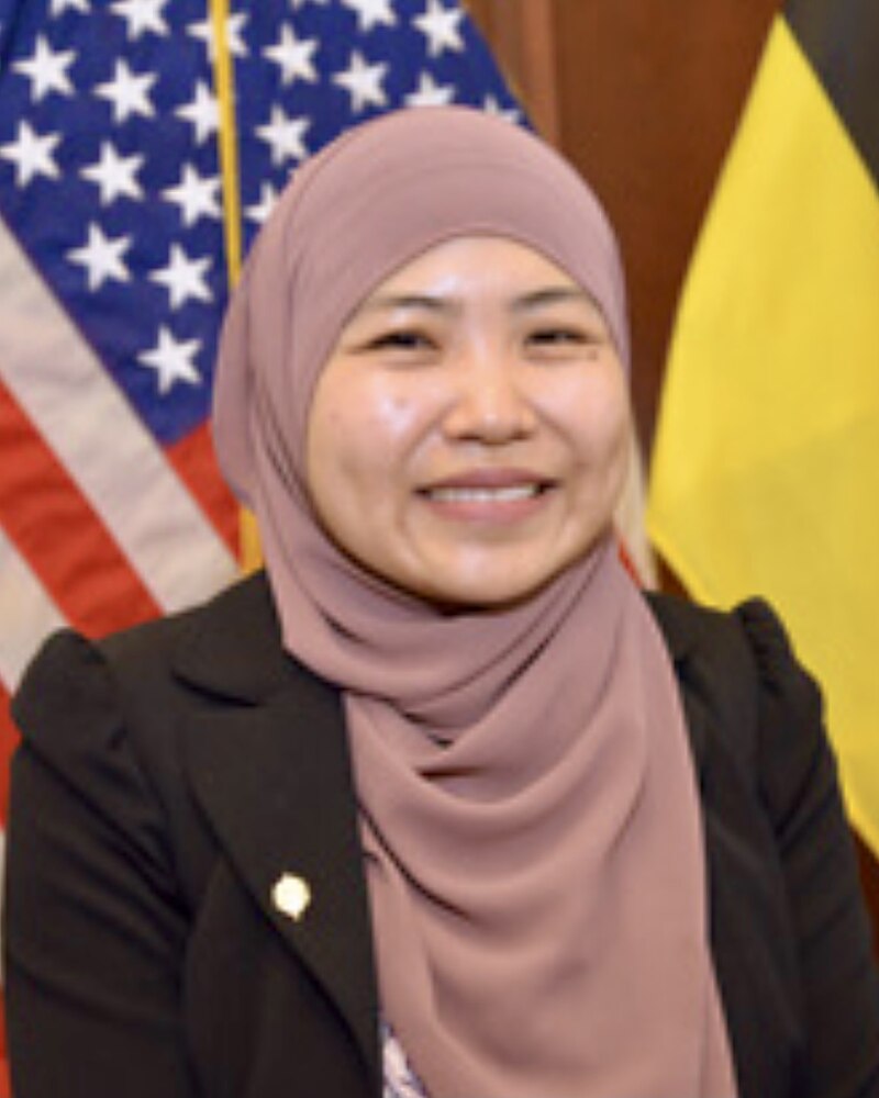 Saiful Mahdi