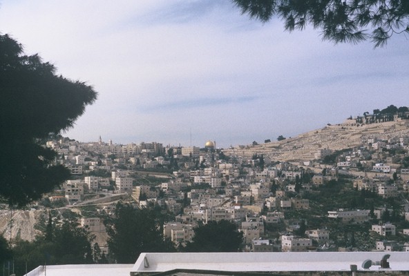 Salah Al-Din Sharafi