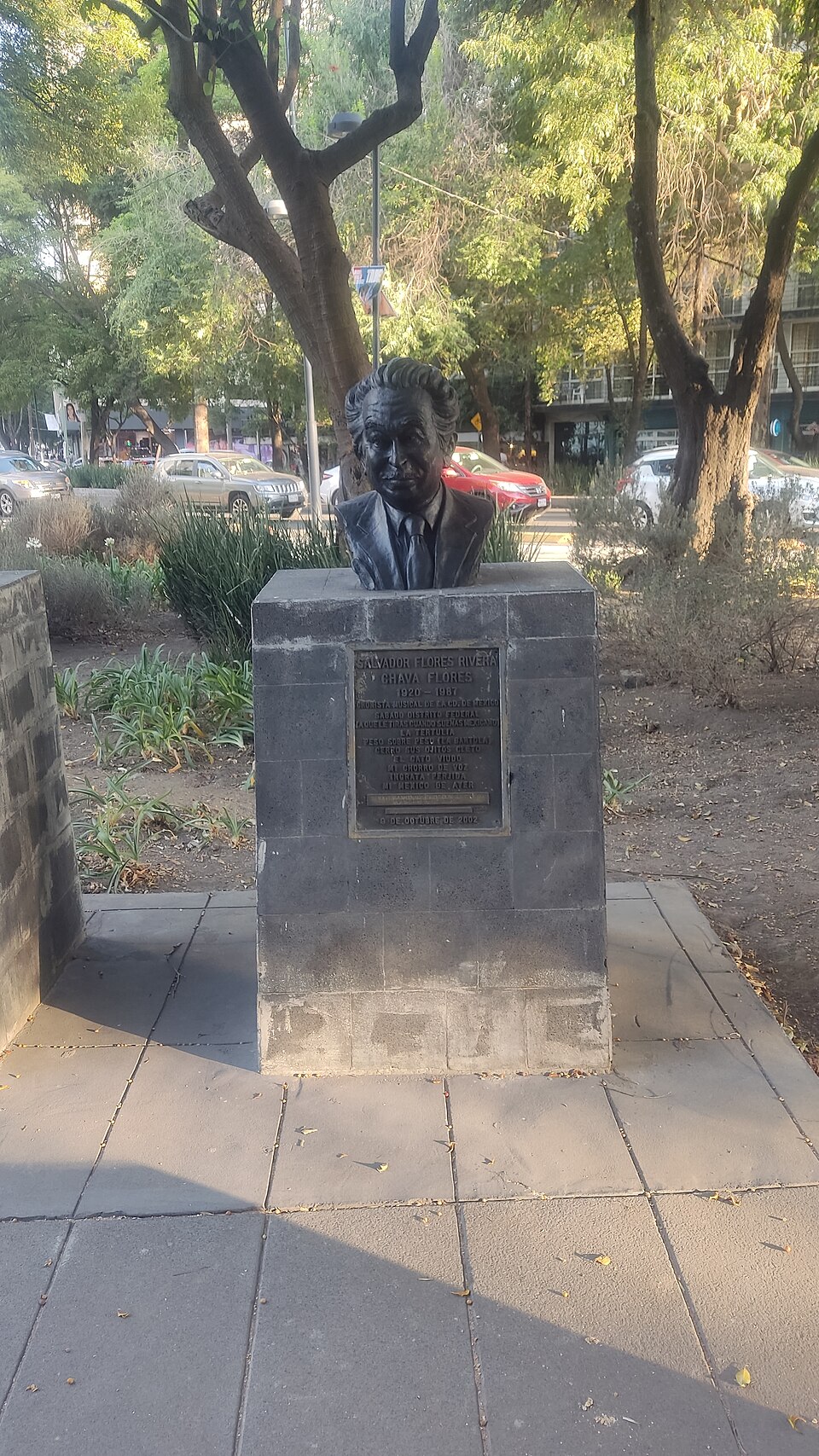 Salvador Chava Cartas