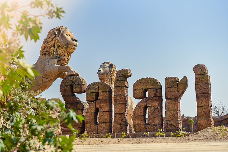 Saman Safari