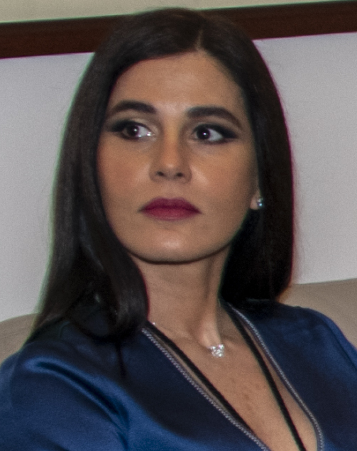 Samir Fadel