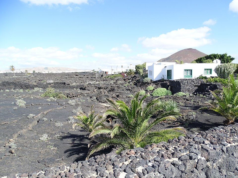 Sara Manrique