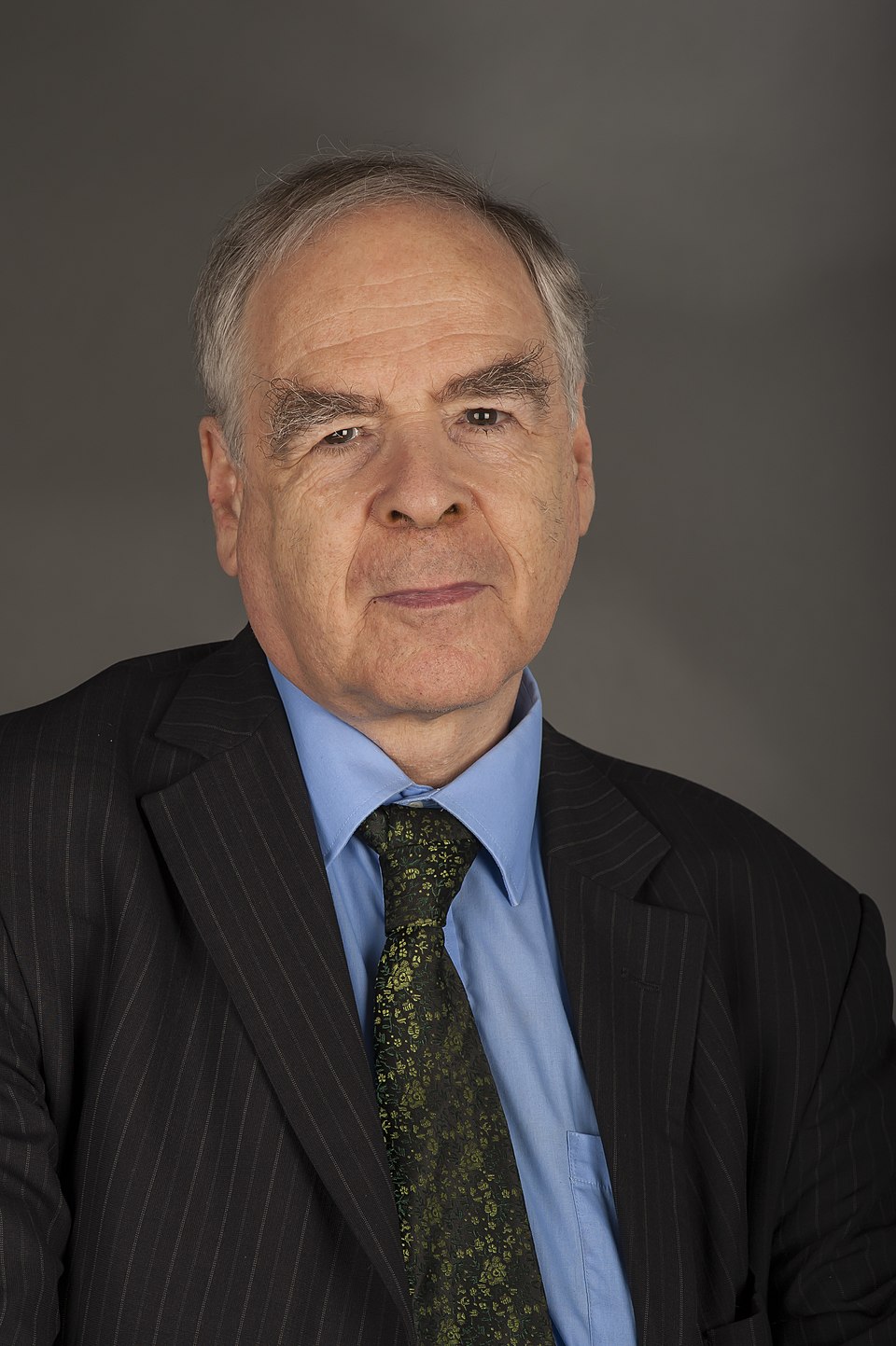 Schopflin Gyorgy