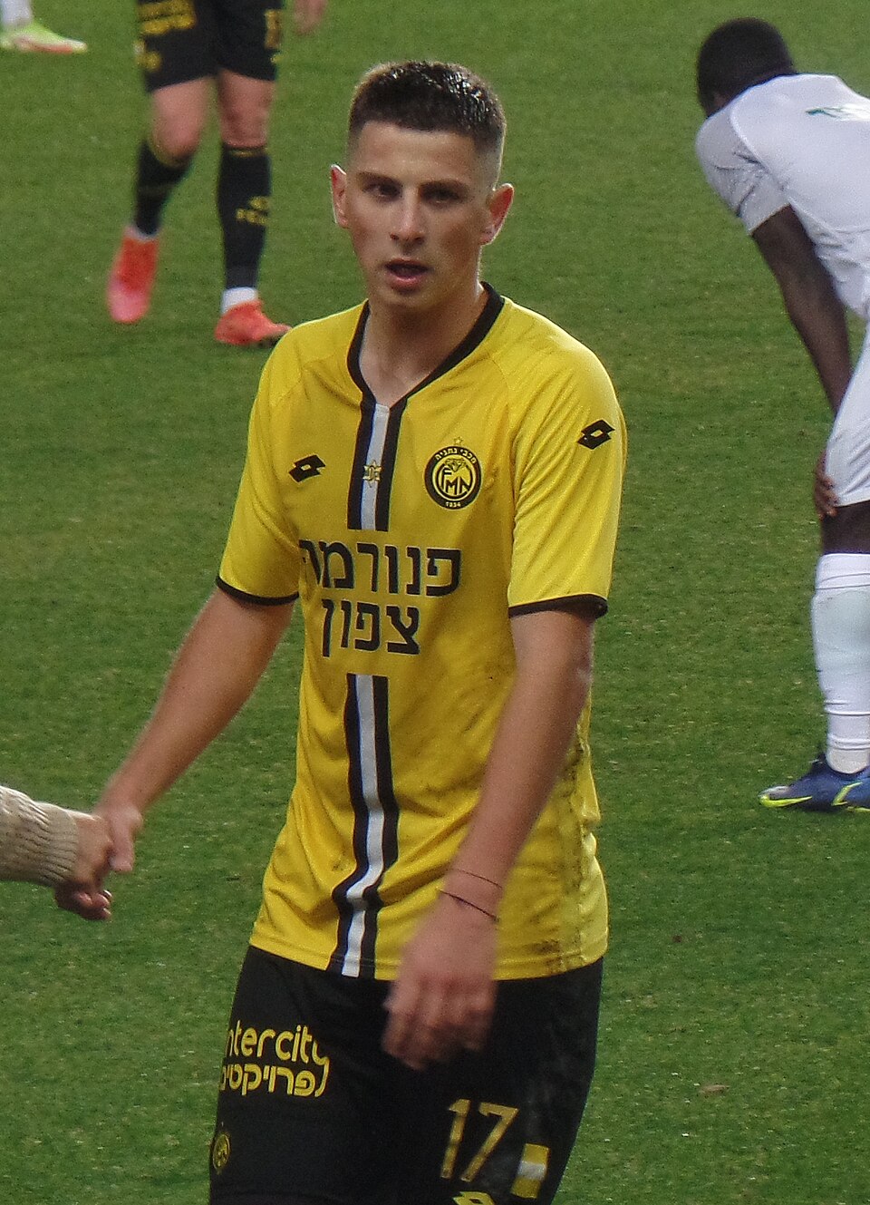 Sehovic