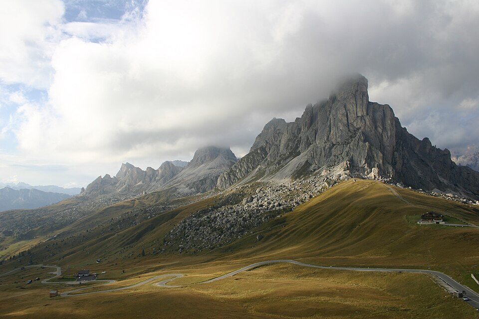 Selva Lago