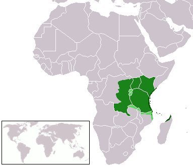 Shaaban Fundi