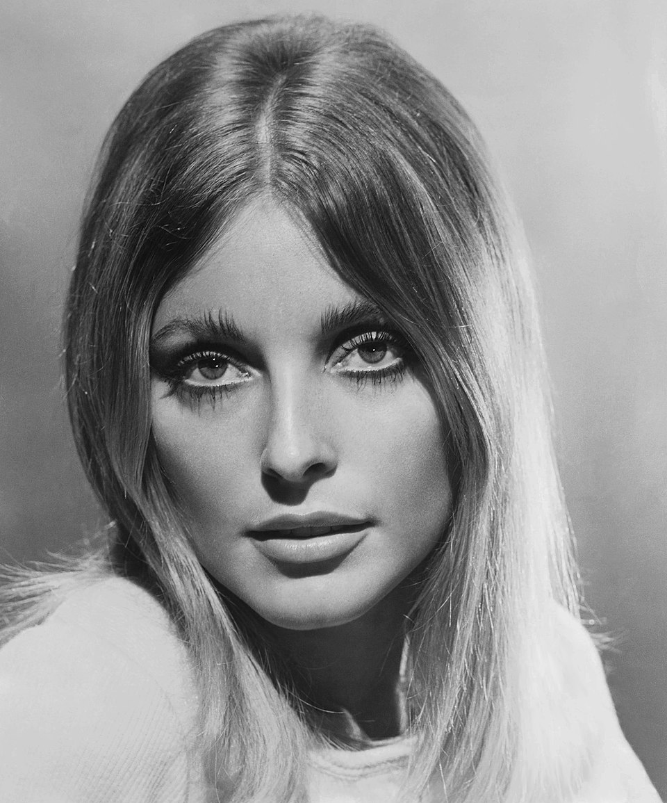 Sharon N.P.P.