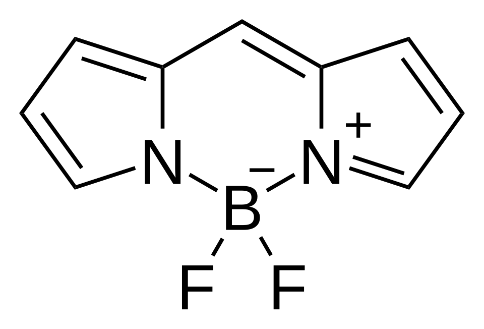 Shen Zehua