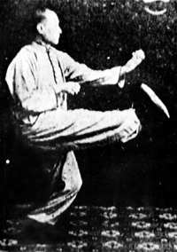 Shi Qiwen