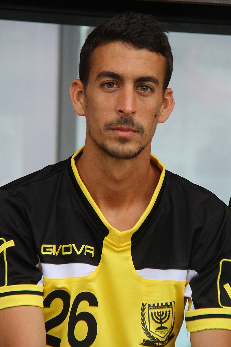 Shlomi Avni