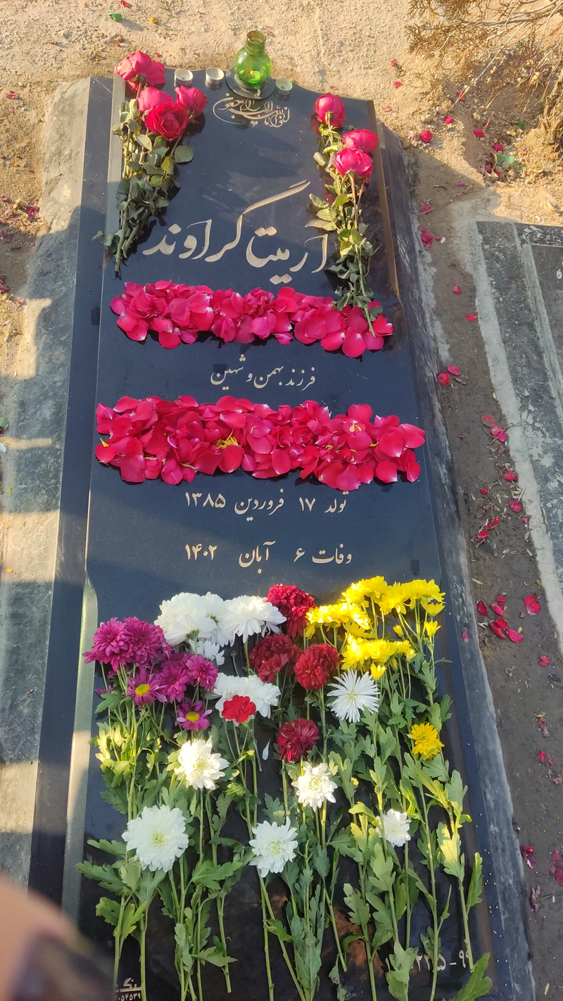 Shoura Hashemi