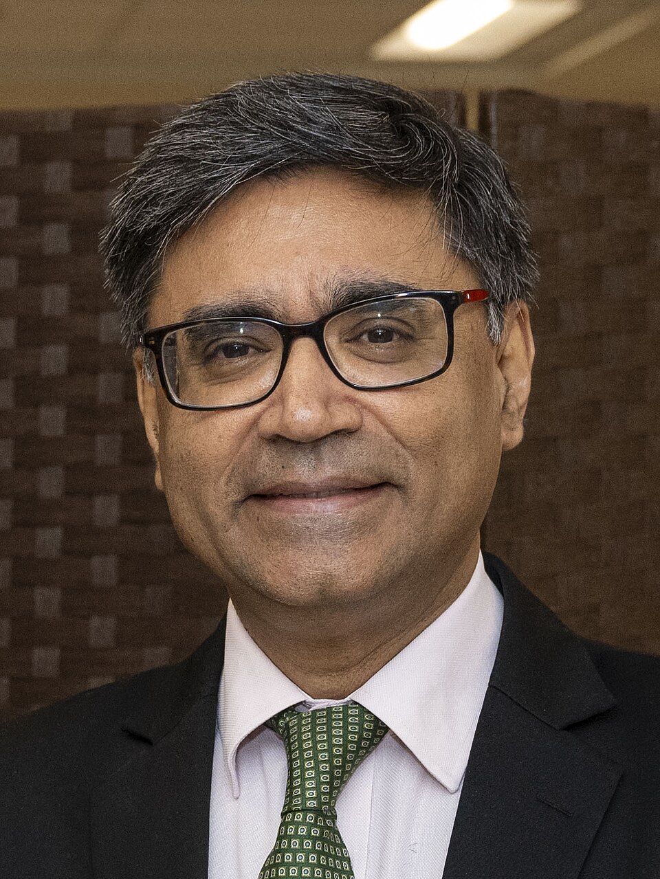 Shri Vikram Misri