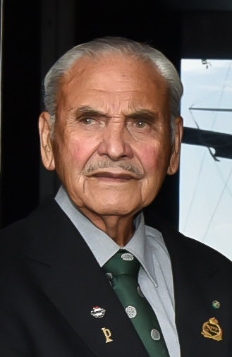 Sir Robert Gillies