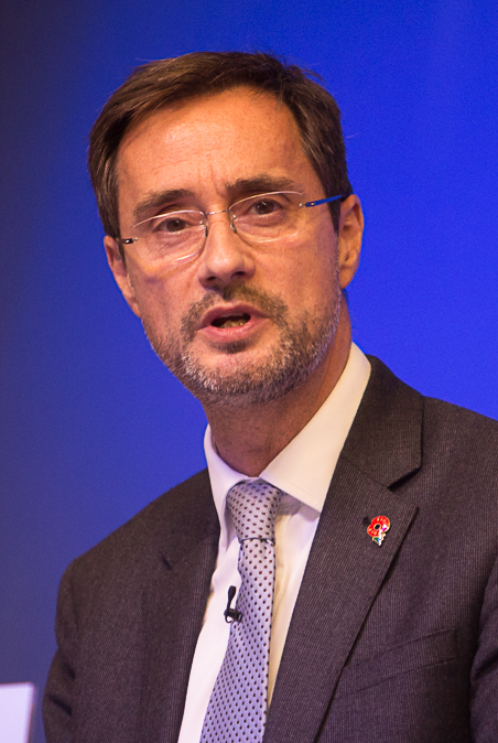 Sir Robin Niblett