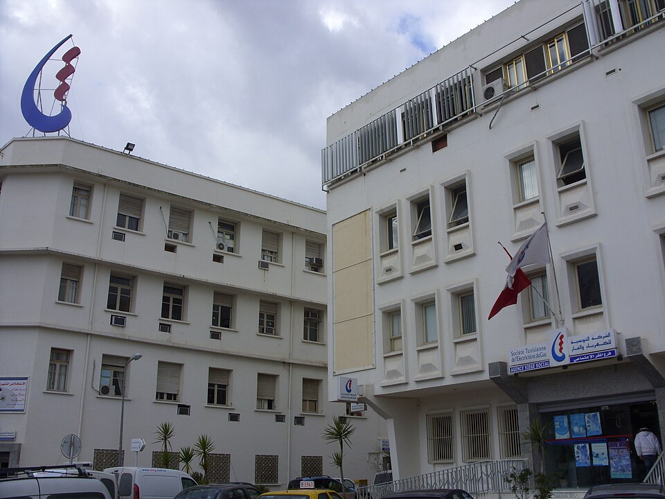 Société tunisienne de l’électricité et du gaz