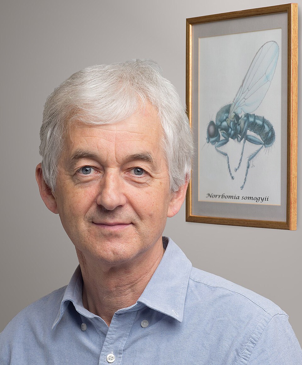 Somogyi Péter