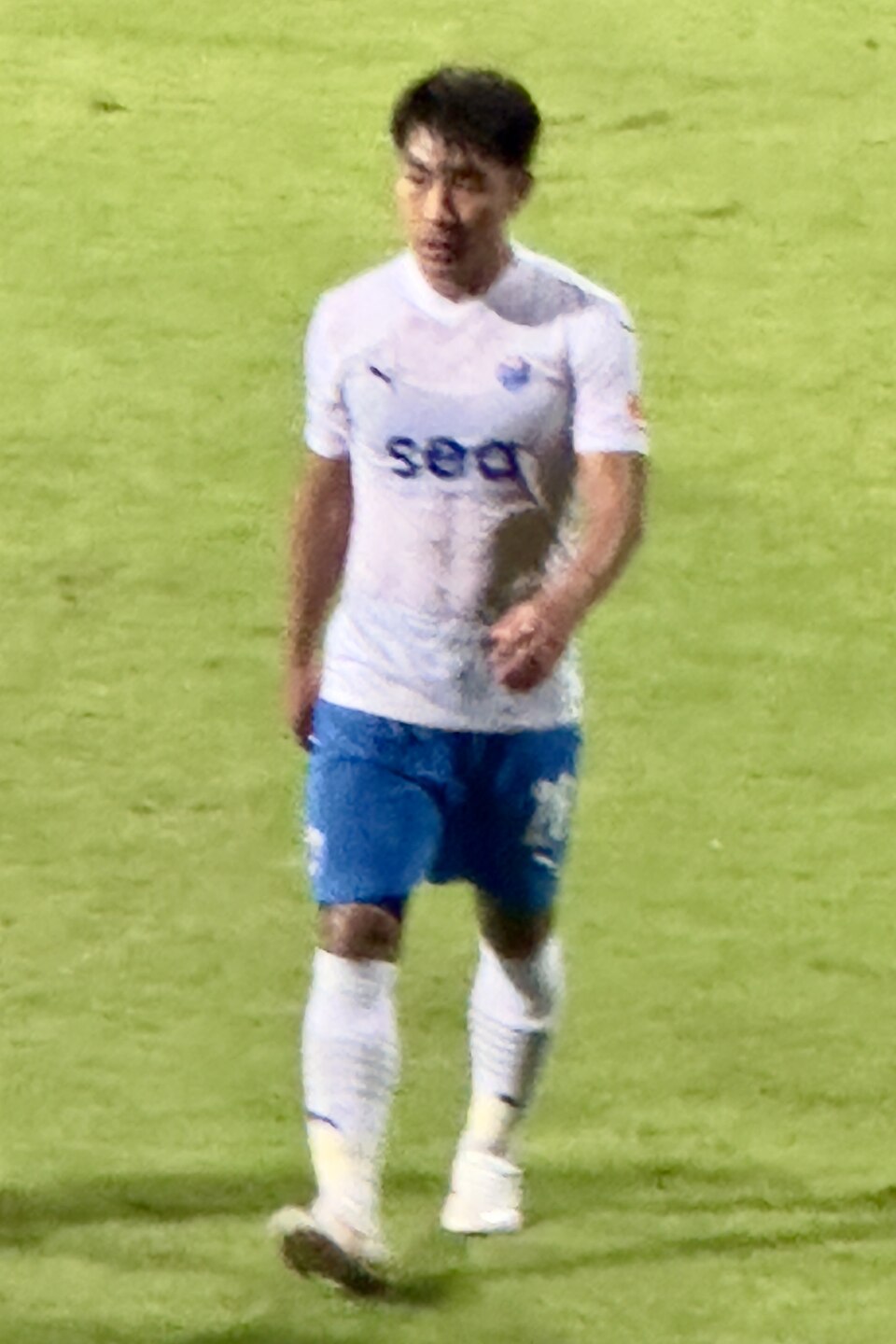 Song Ui Yong