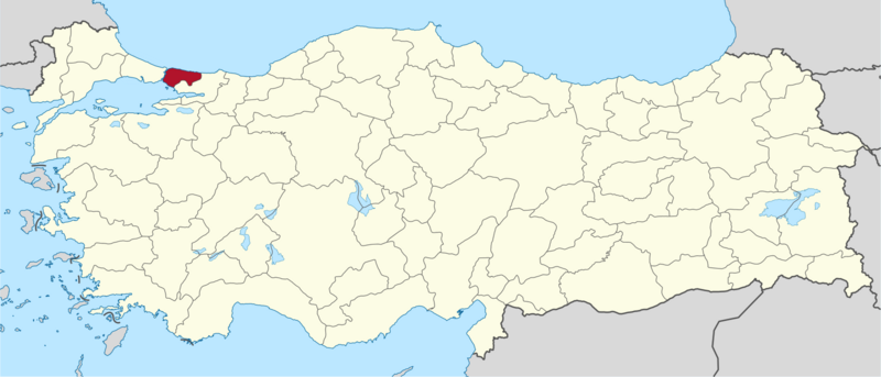 Songül Gürsel
