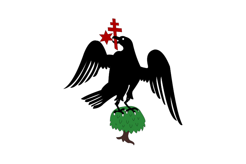 Sorin Pătrașcu