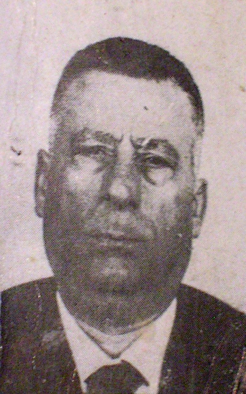 Stefano Parini