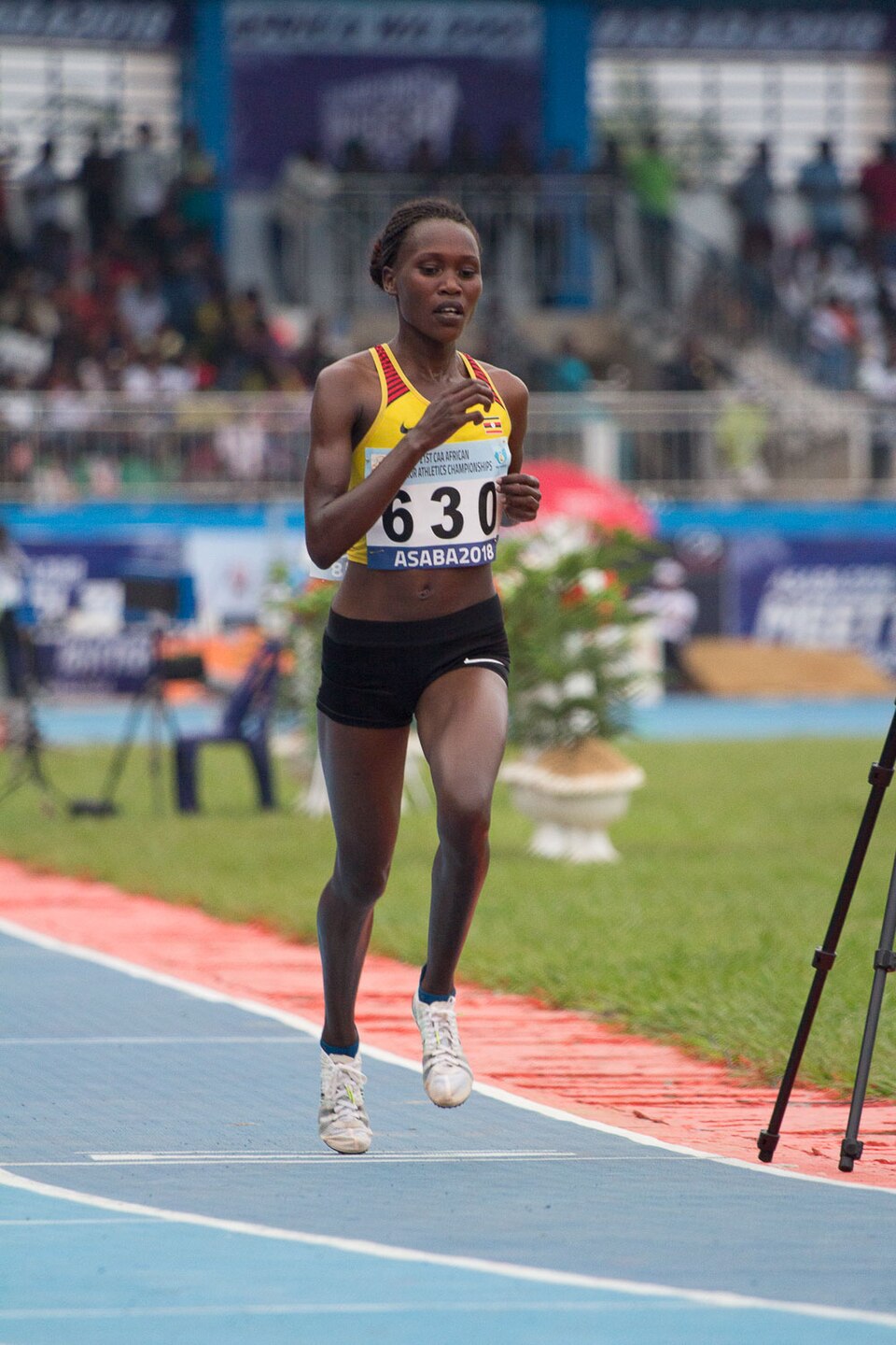 Stella Chesang