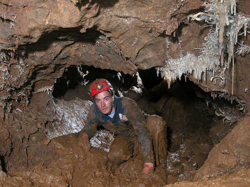 Steve Cavers