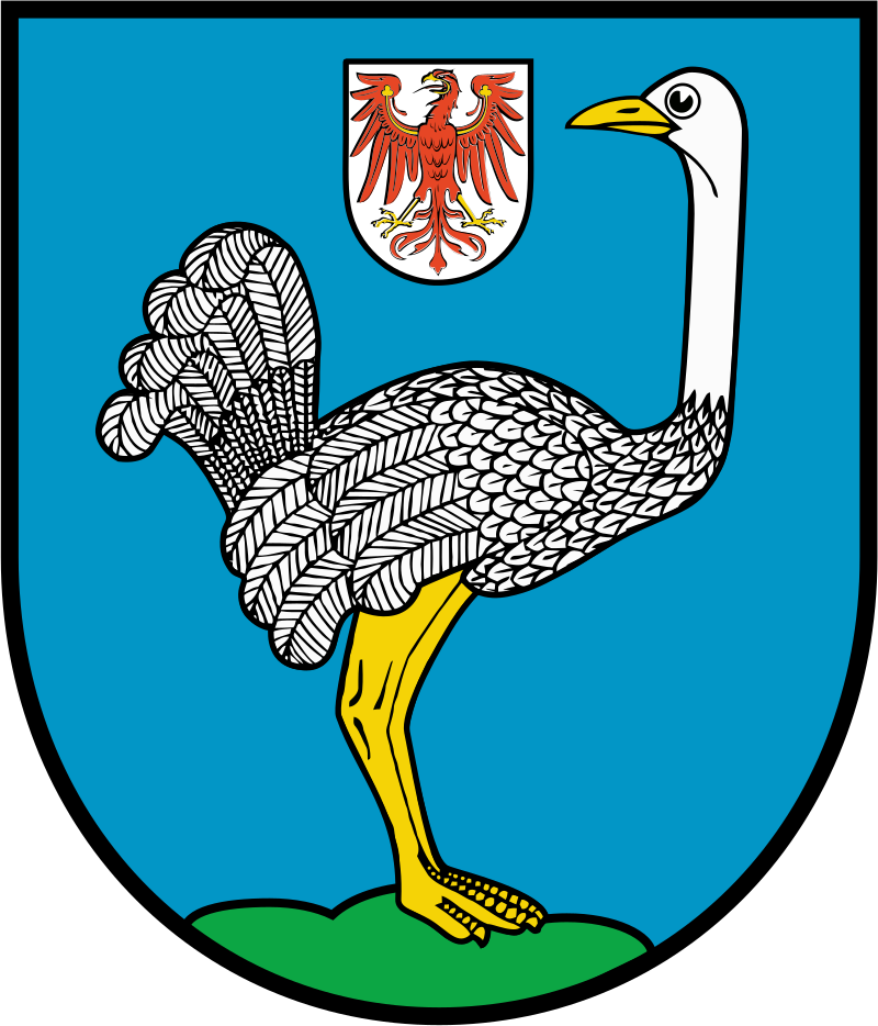 Straus