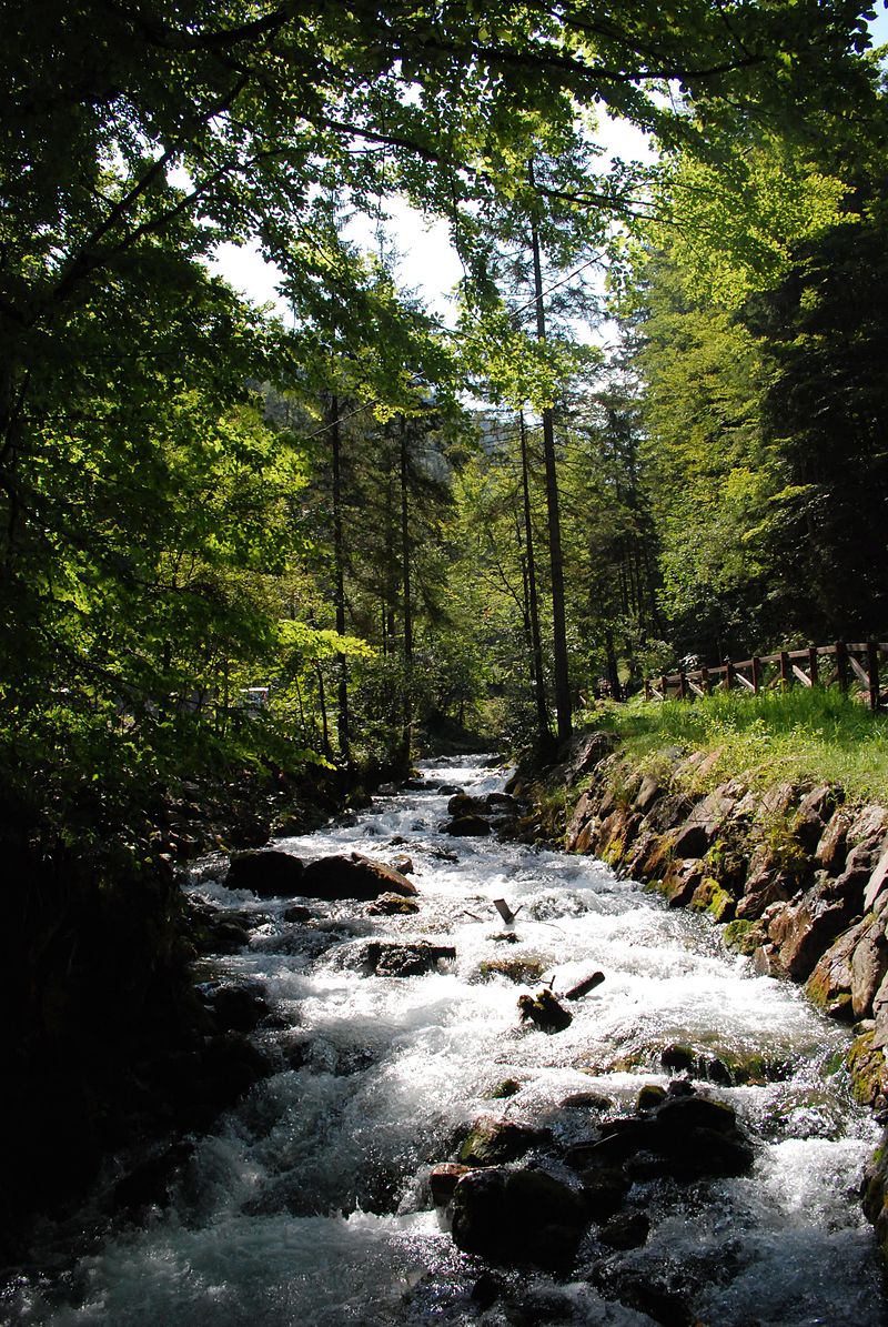 Stream