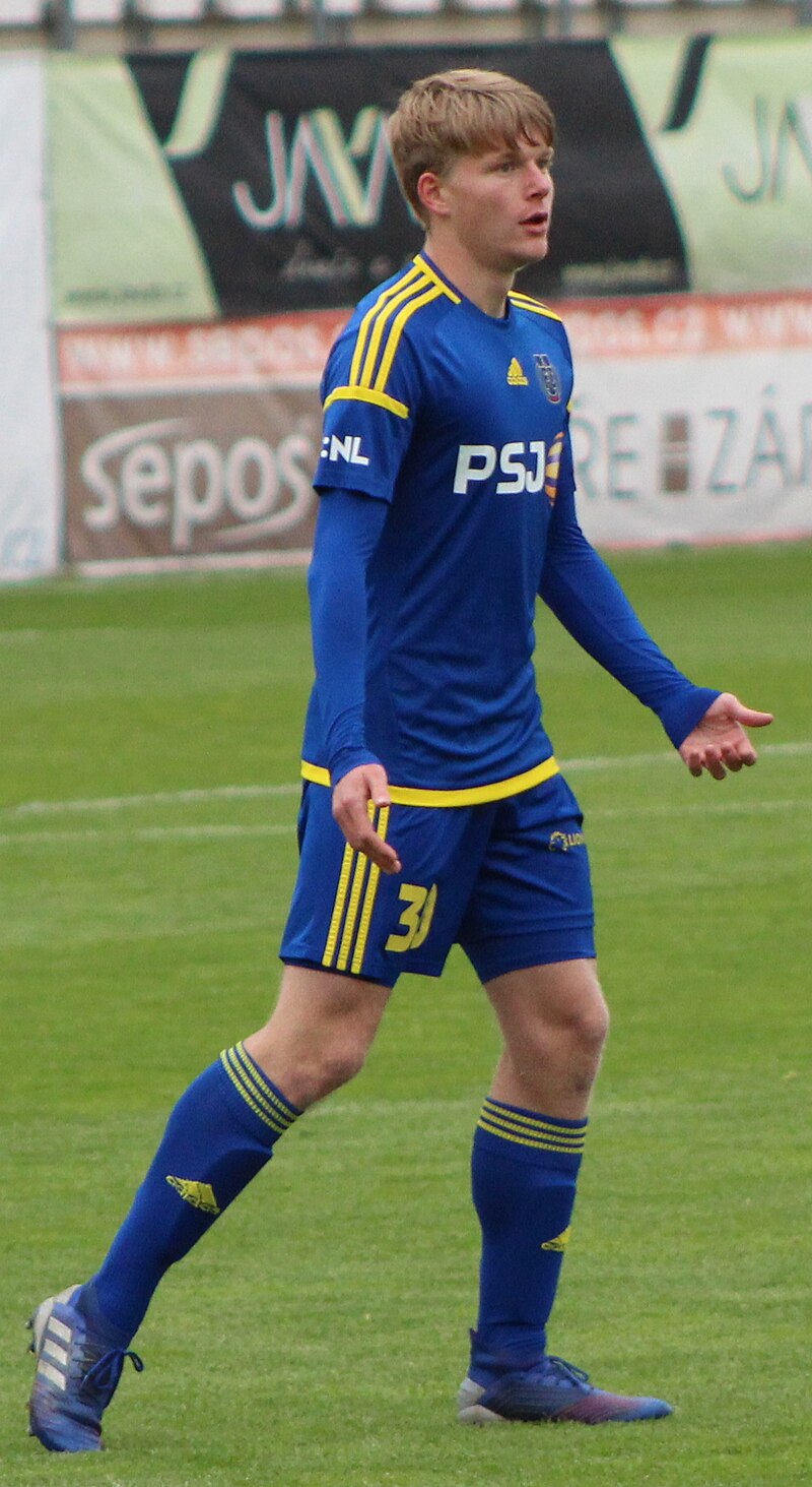 Šulc
