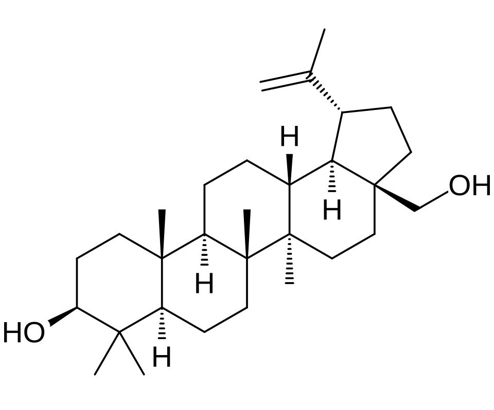 Sun Zhenming