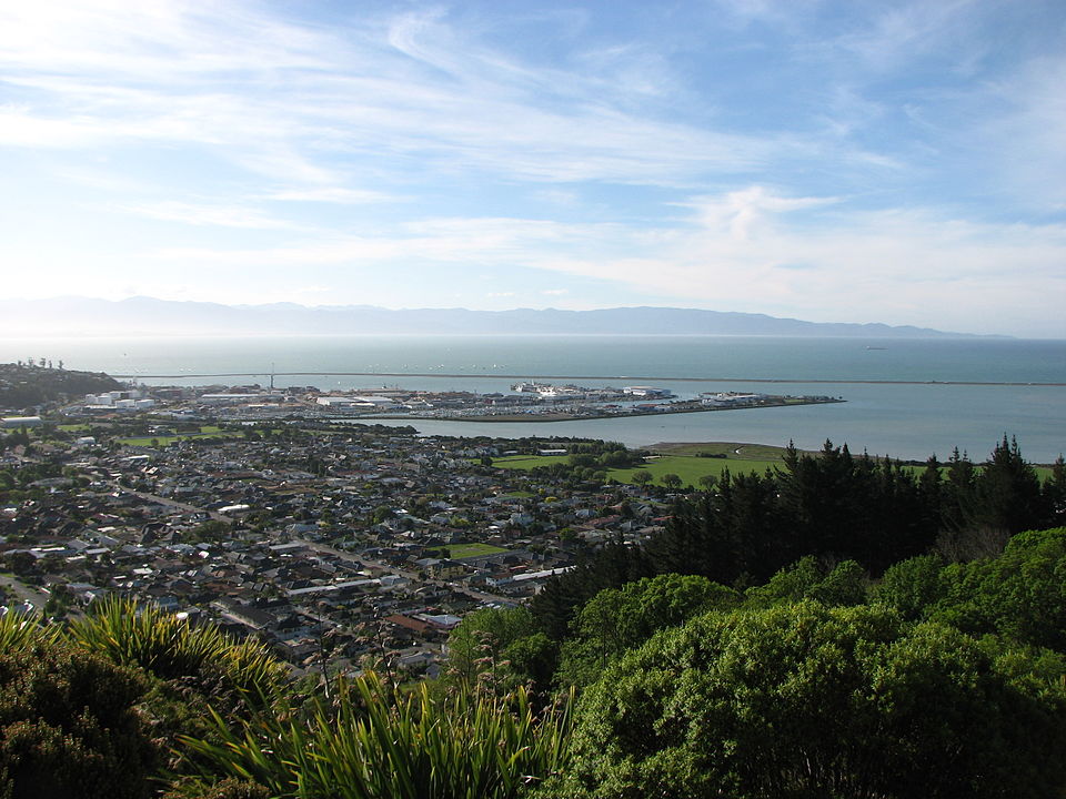 Sunny Nelson