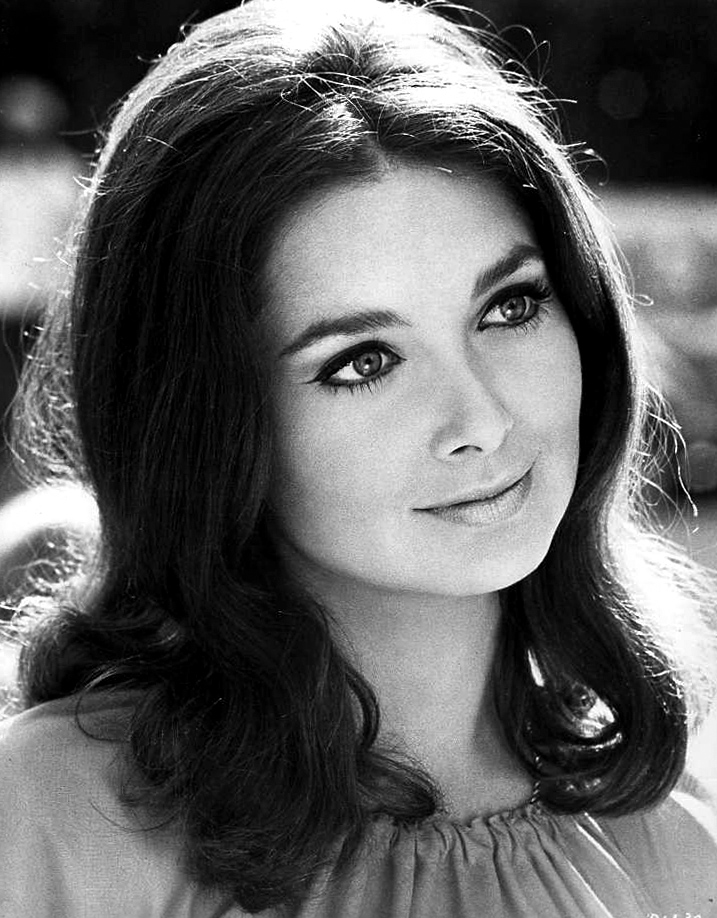 Suzanne Andrews