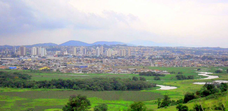 Suzano Vicente