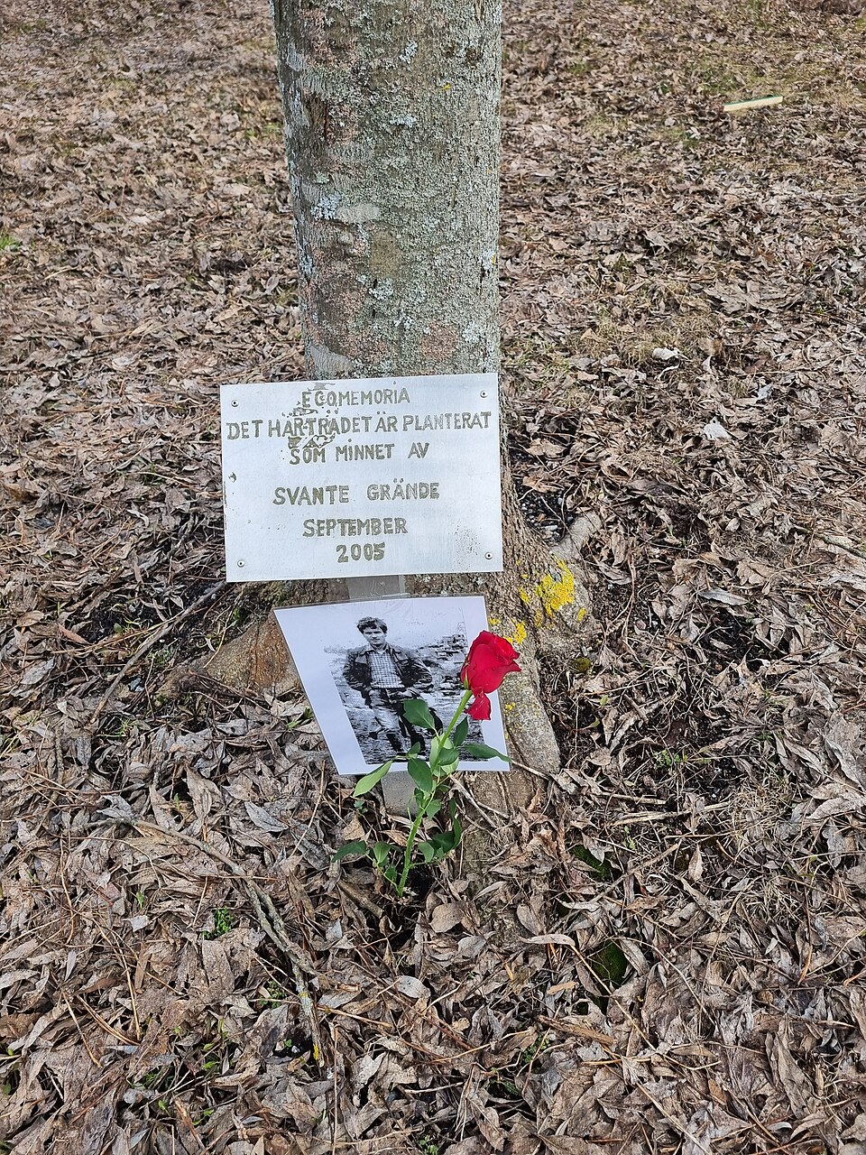 Svante Grande