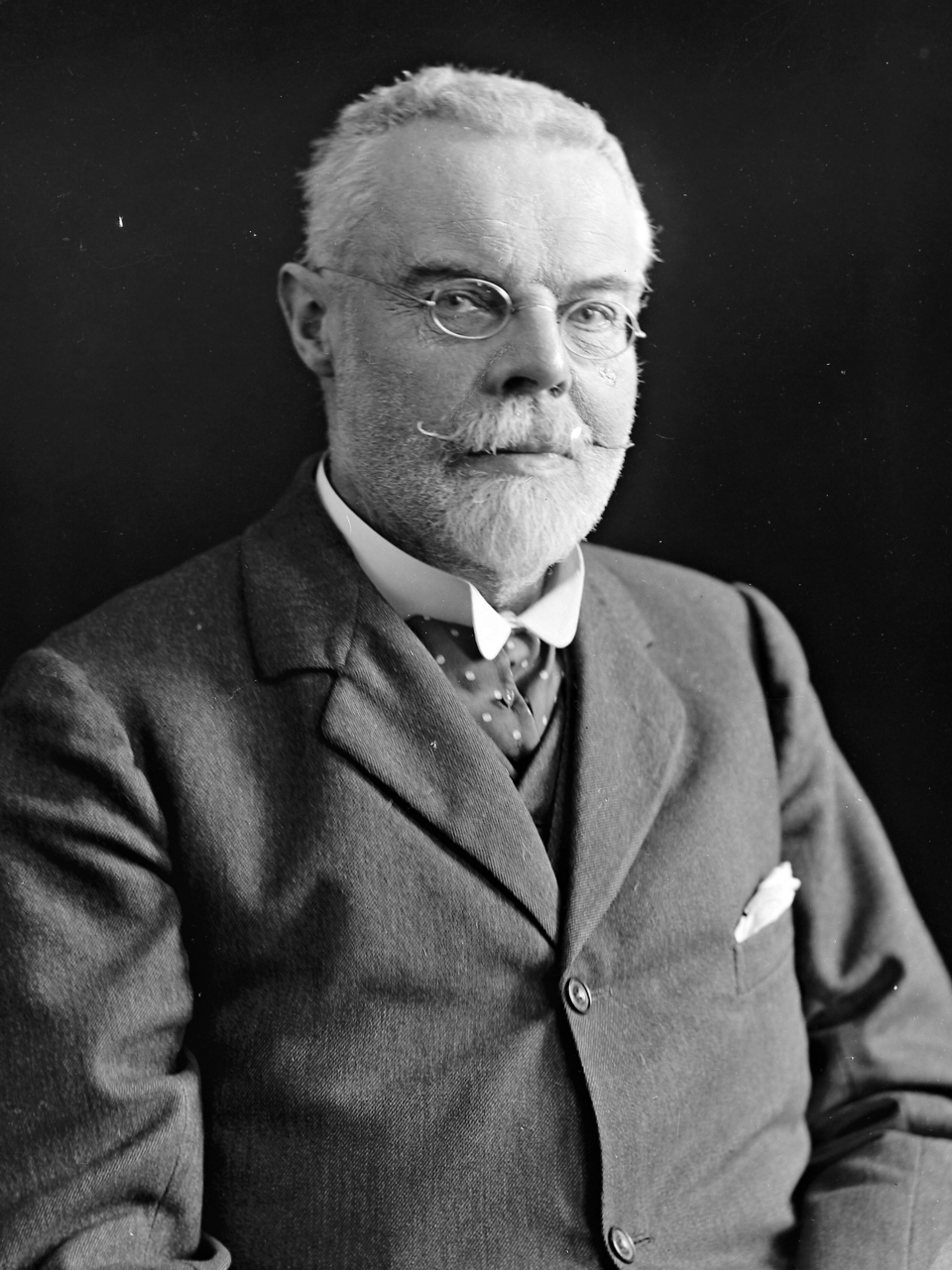 T J Westropp