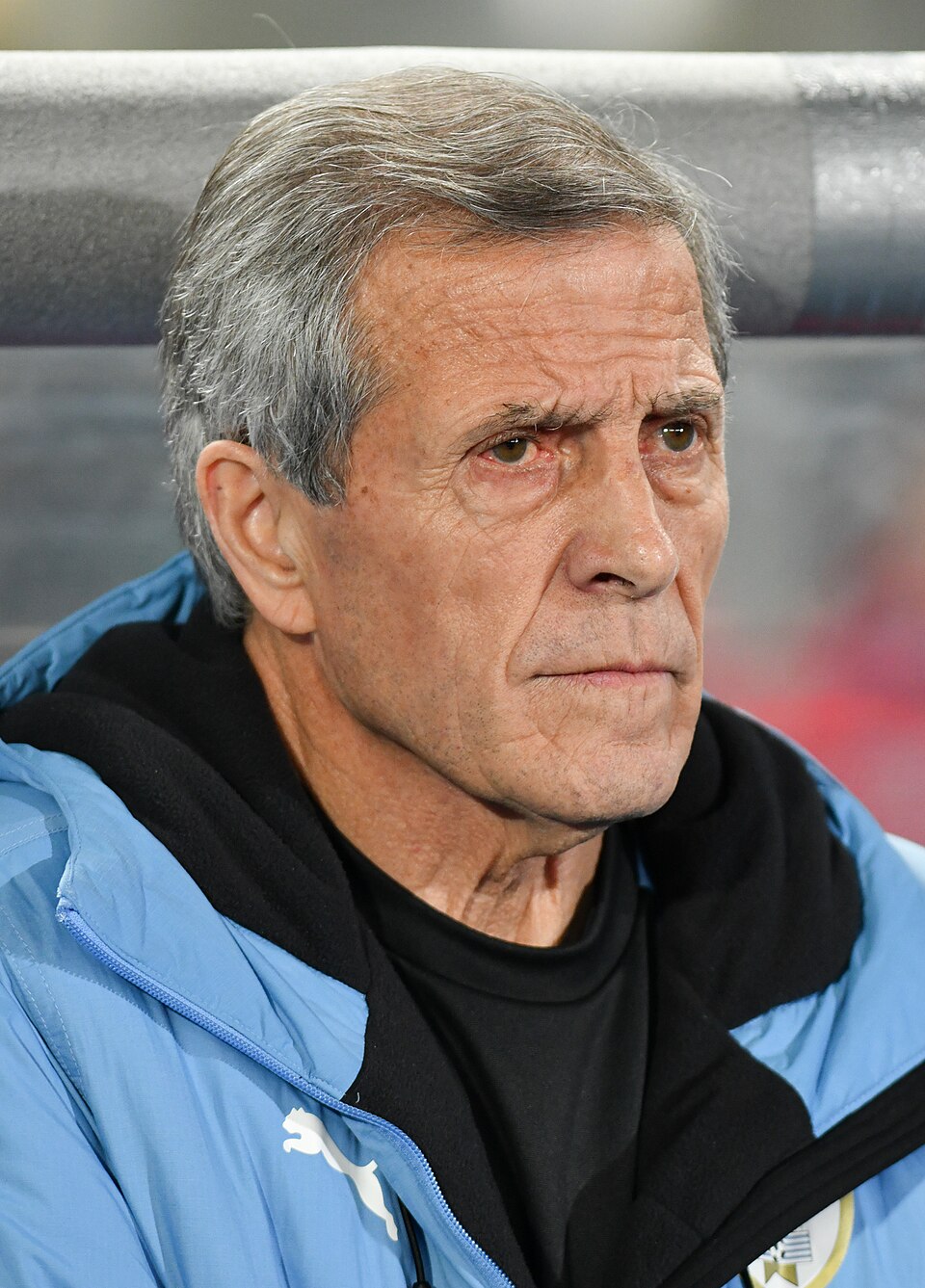 Tabarez