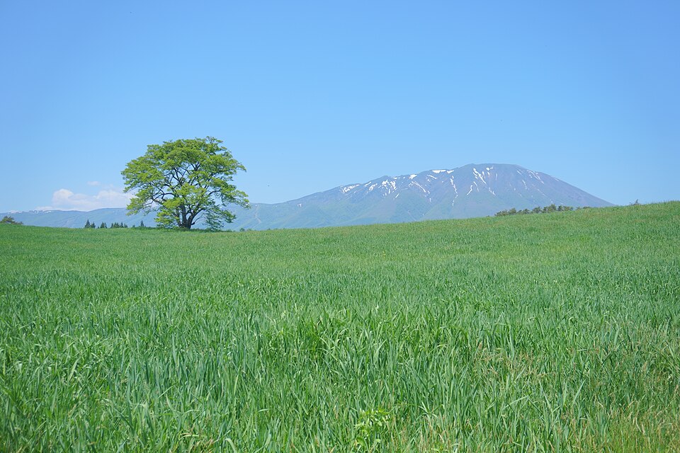 Takahiro Iwaya