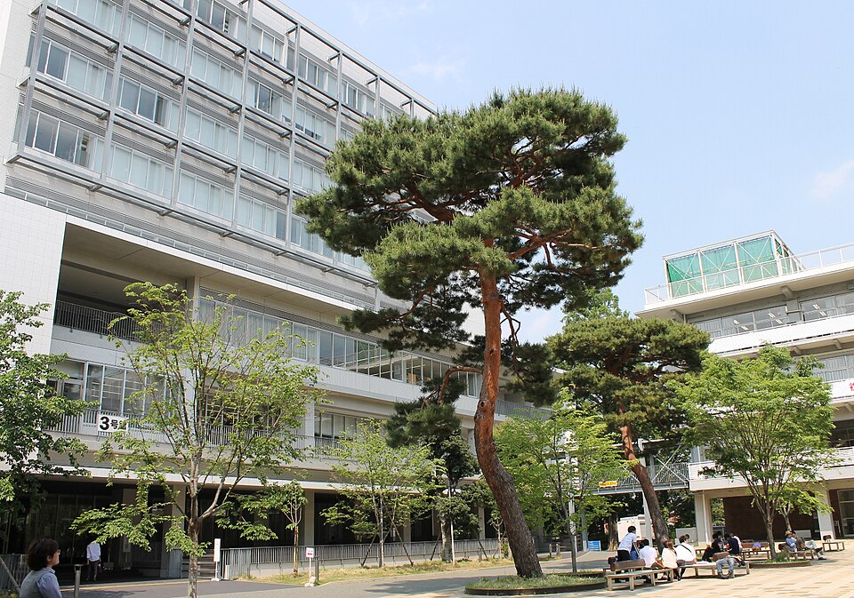 Taku Iwashita