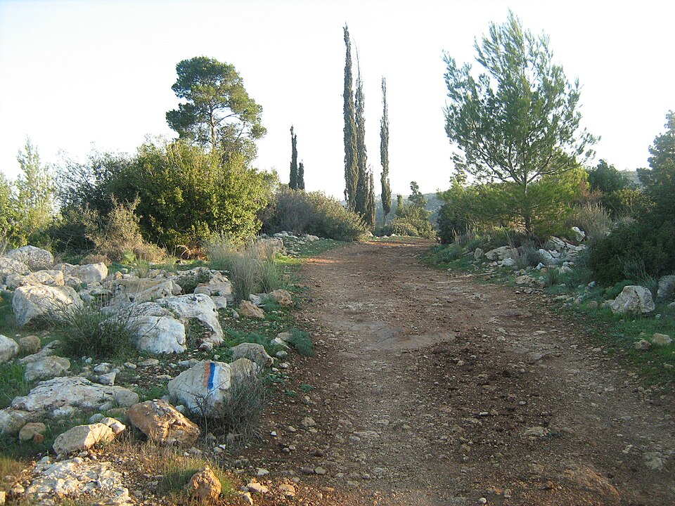 Talal Al Muhaysin