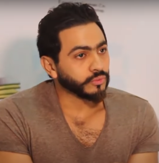 Tamer El-Sayed Nasr